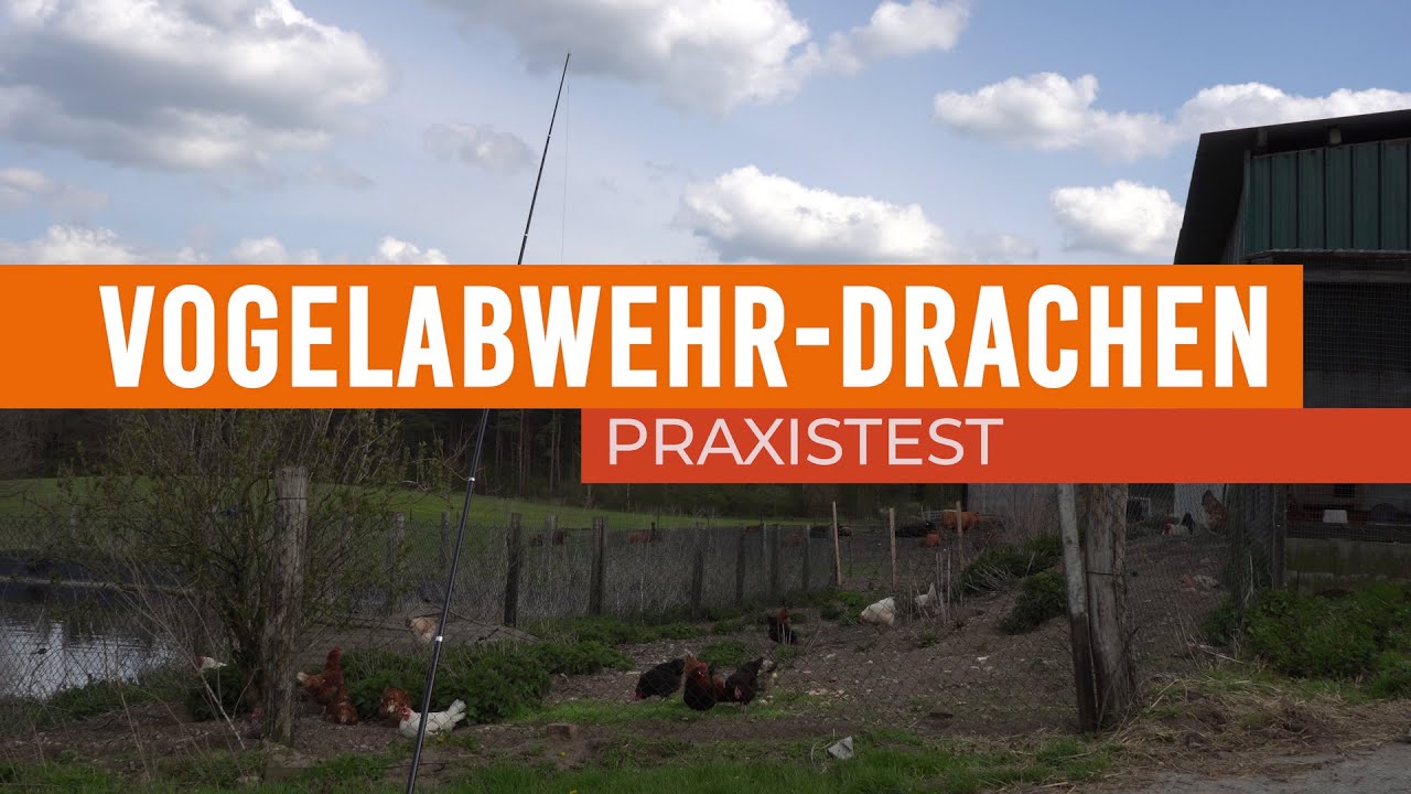 Drachen zur Vogelabwehr?