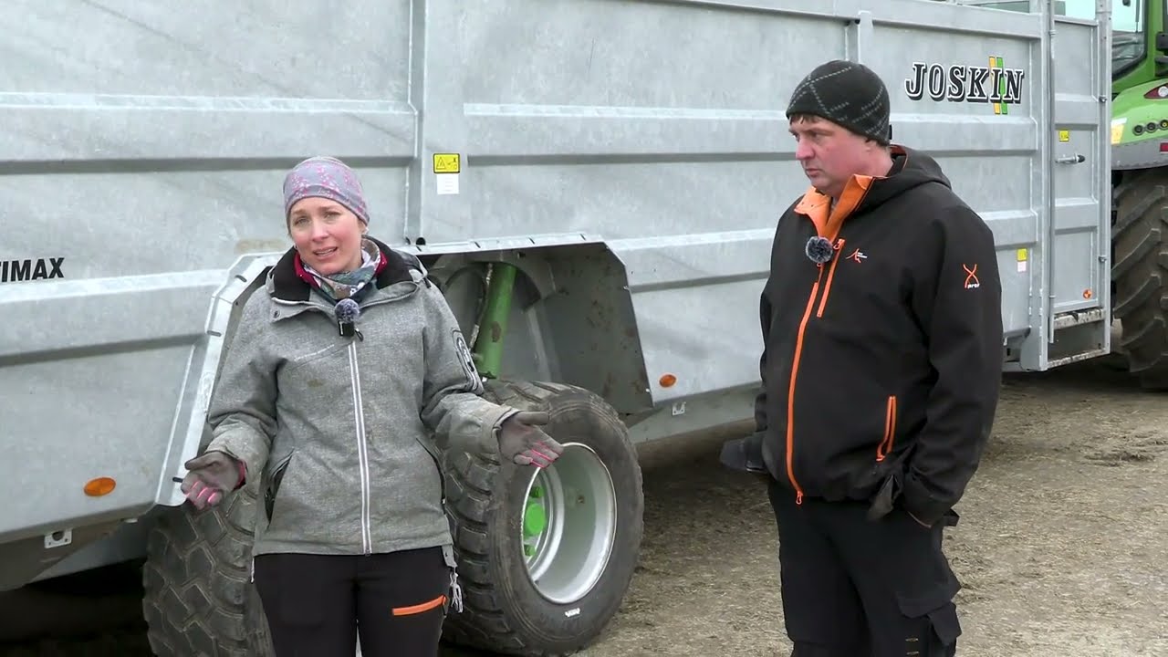 Jenny och Anders kor åker 1:a klass med Joskins djurvagn