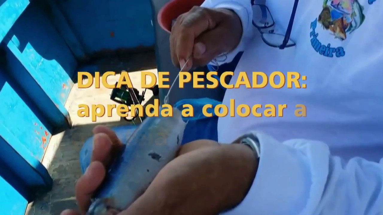 Dica de Pescador: colocando a garateia na sardinha