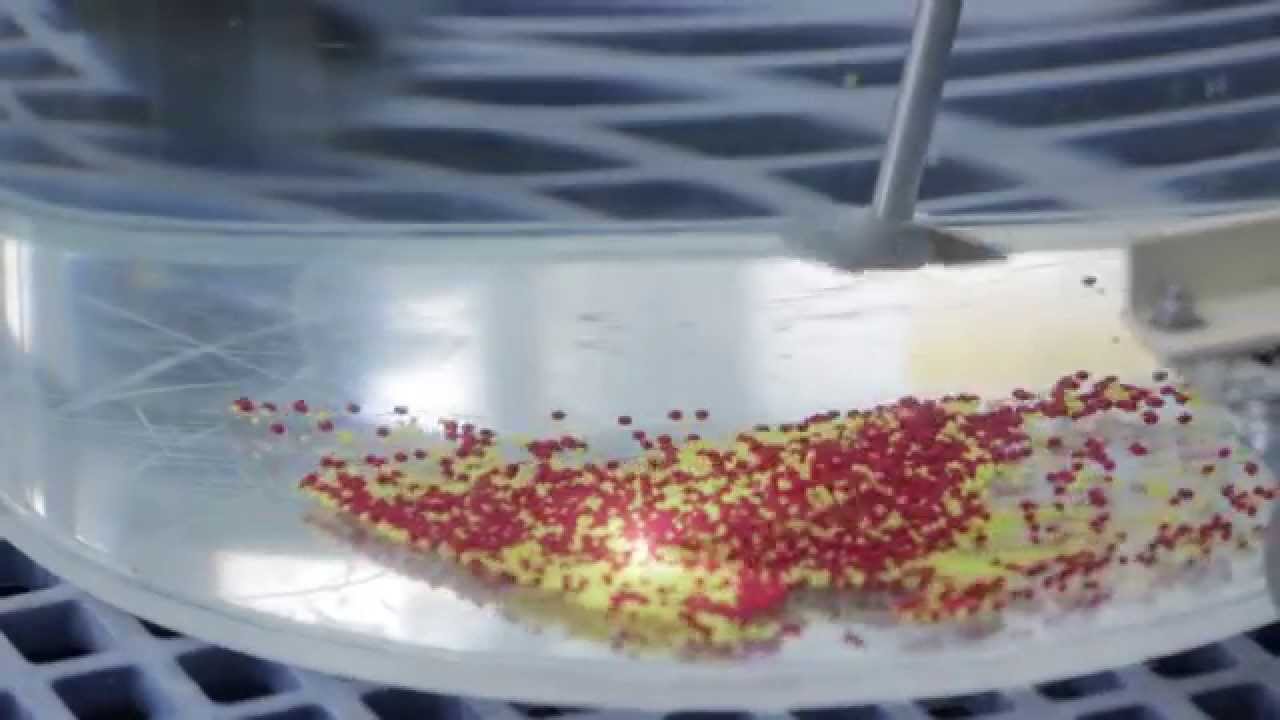Mechanical Agitation (or Mixing) for Drums - CMP Slurry Technical Video Series