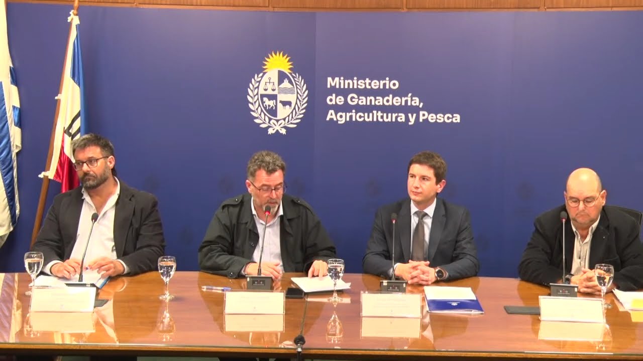 Conferencia de Prensa