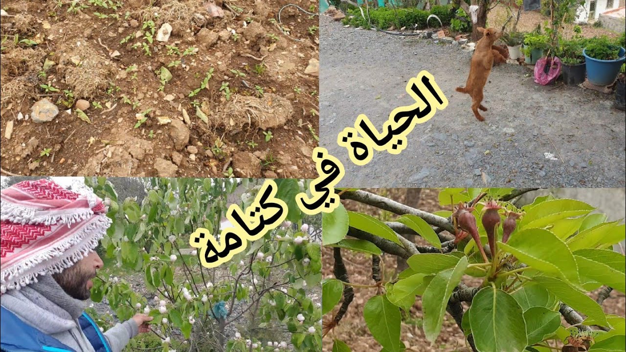 كتامة جمال وطبيعة عيشو معي أجمل الحضات في رمضان من قلب كتامة أجواء باردة⛈