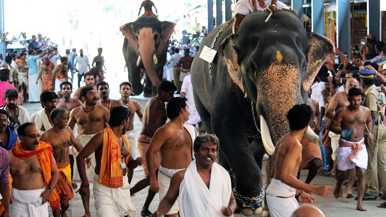 ഗുരുവായൂർ ആനയോട്ടം Guruvayoor Anayottam Kerala Elephant Running