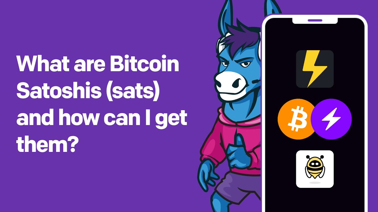 What are Bitcoin Satoshis (sats) and how can I get / use them? | www.DuelDonkey.com