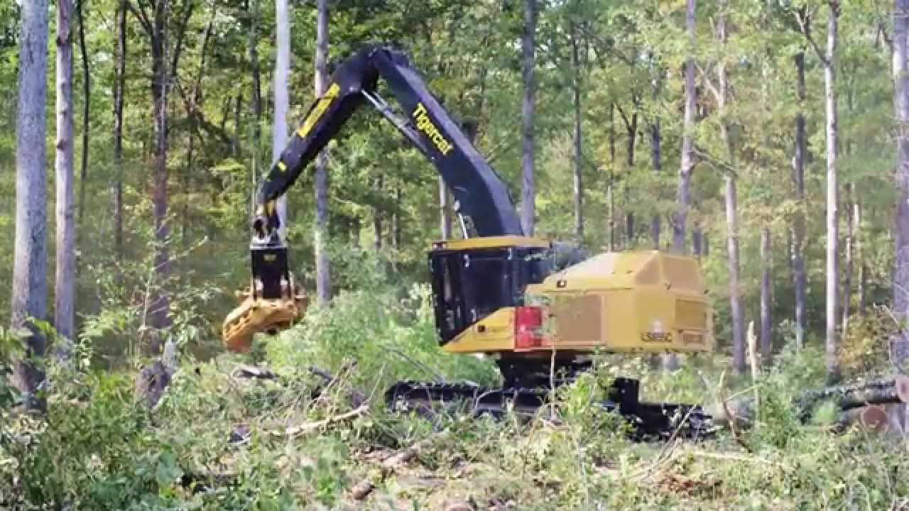 Shovel Logger Tigercat LS855C with 5195 Directional Felling Head