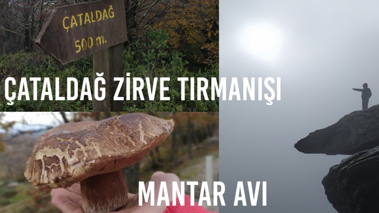 ÇATALDAĞ ZİRVE TIRMANIŞI VE MANTAR AVI