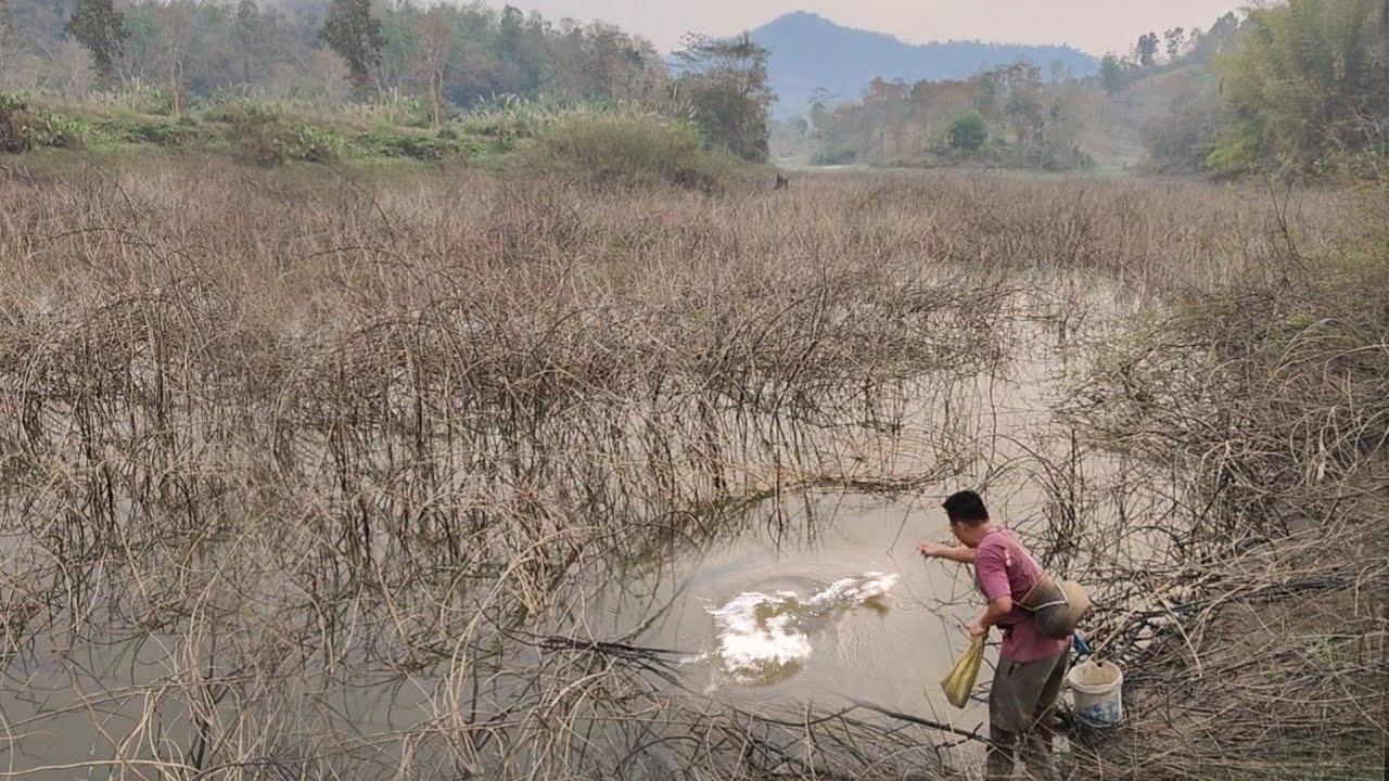 ครั้งแรกปักเบ็ดค้างคืนหมายเขื่อนใหญ่บนดอยสูงเจอไอ้ตัวนี้เข้าจนได้