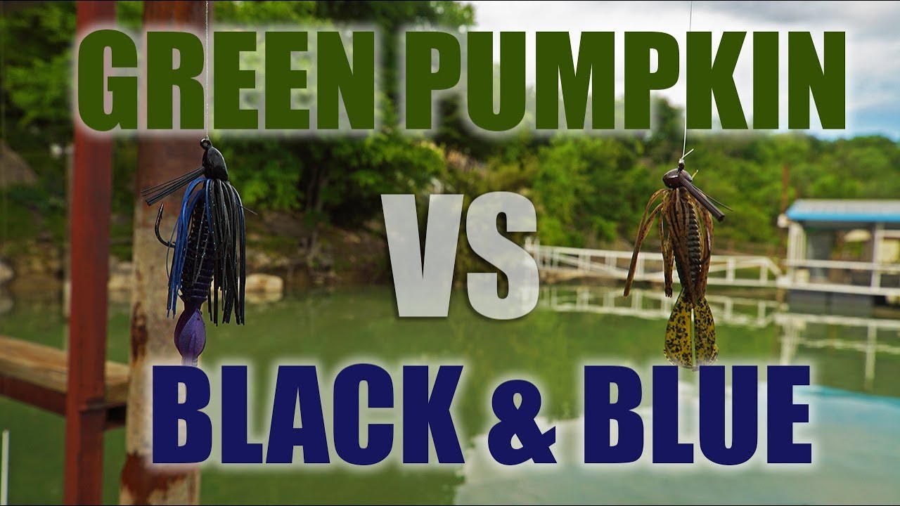 Green Pumpkin VS Black & Blue Challenge! (Loser Eats...)