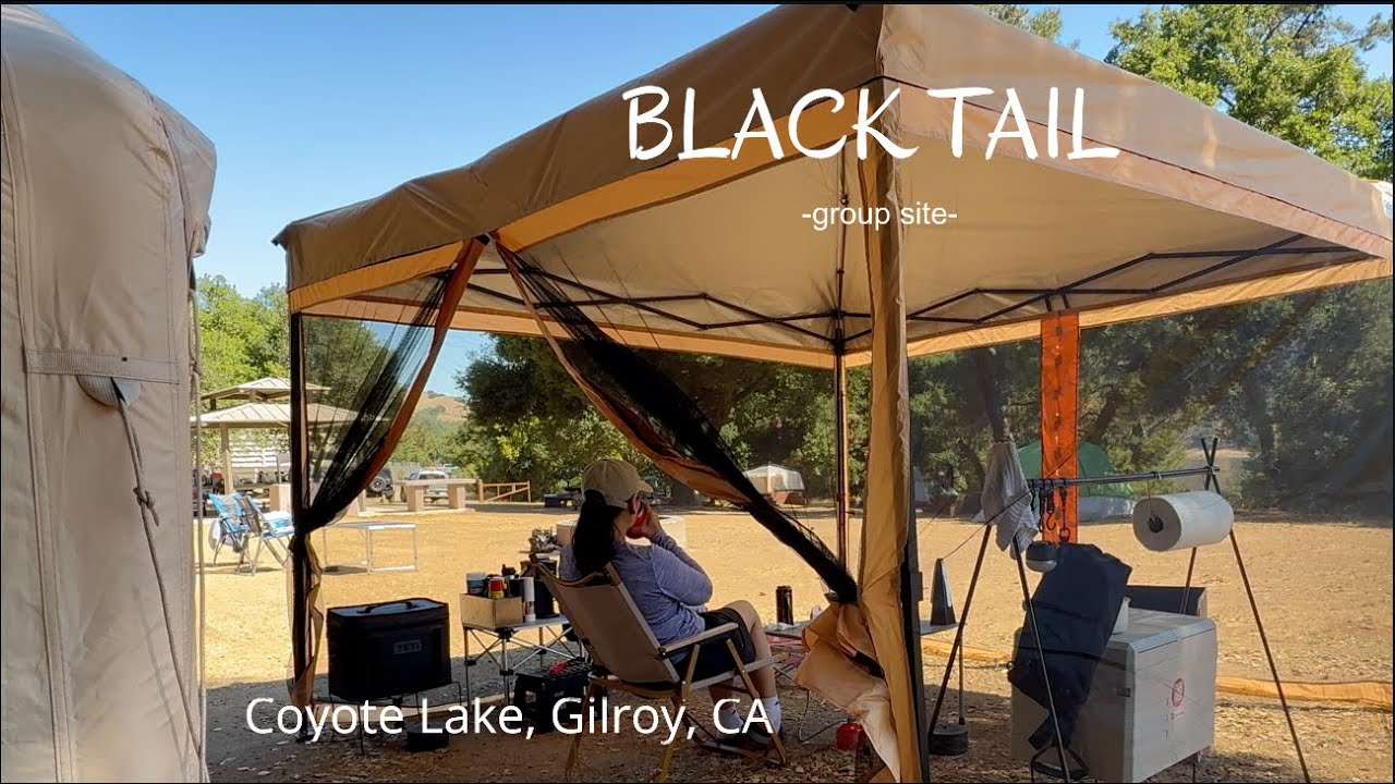 SUMMER CAMPING SHENANIGANS & FRESH CATCH 🏕️ Coyote Lake Gilroy, CA