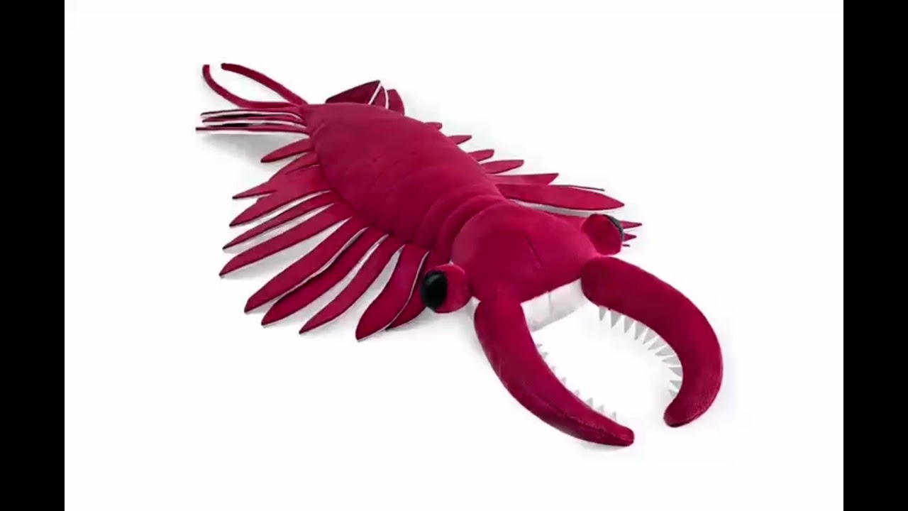 |1K SPECIAL 1/3| song that plays when you encounter a anomalocaris
