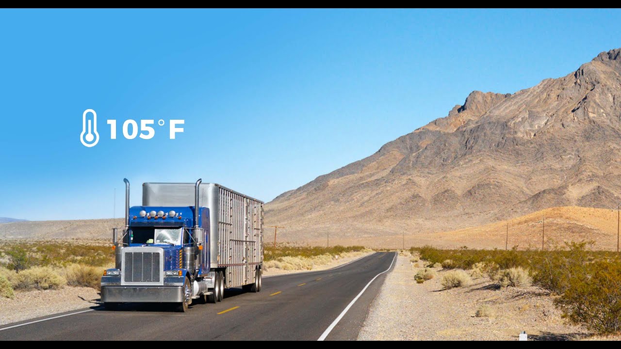 How to get IoT M2M connectivity