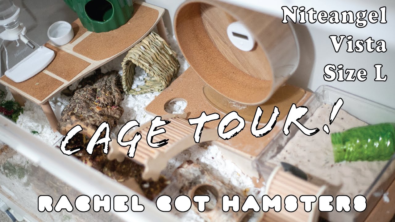 Niteangel Vista Size Large Hamster Cage Tour // My Dwarf Hamster's Enclosure!