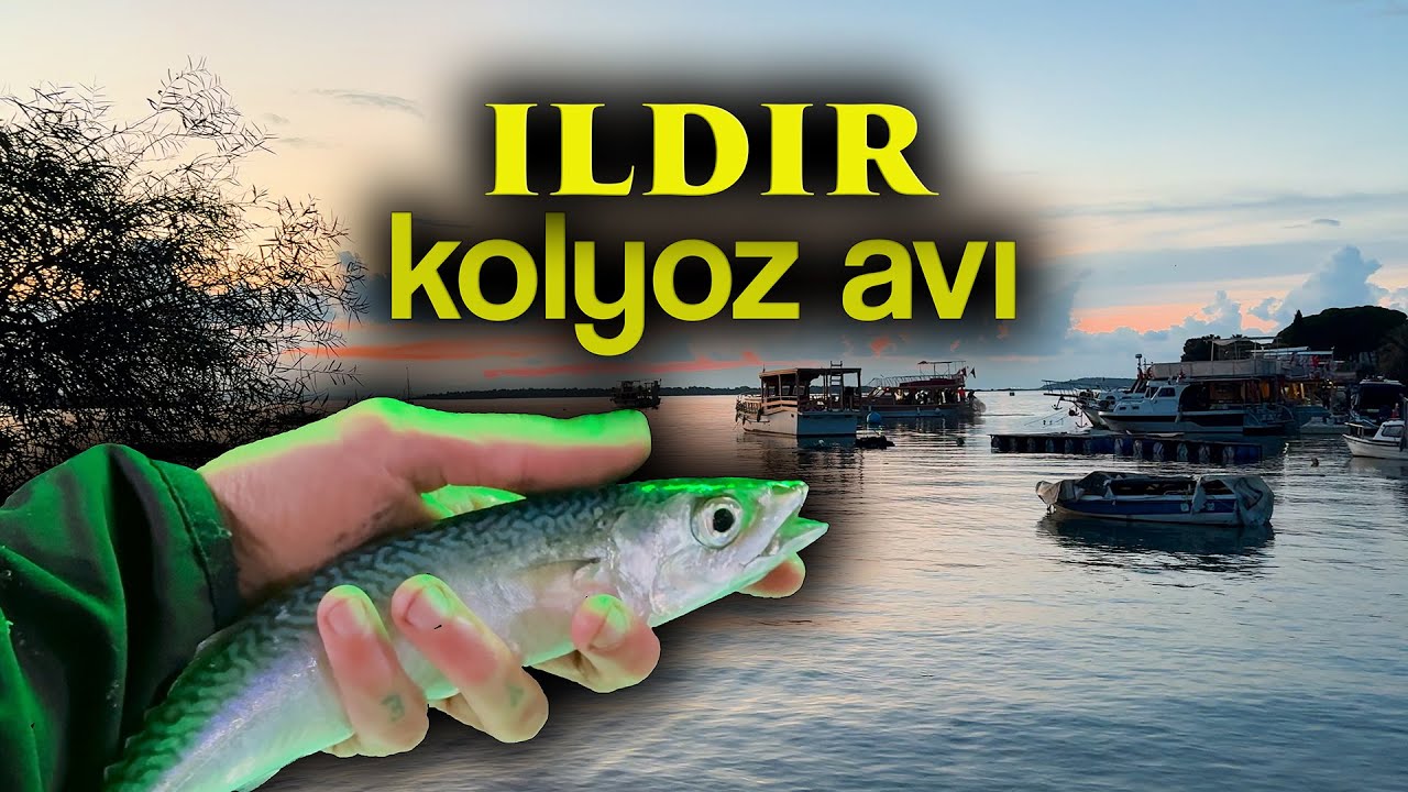 Ildır Açıklarında Balık Kaynıyor! | Tekneyle Kolyoz Avı
