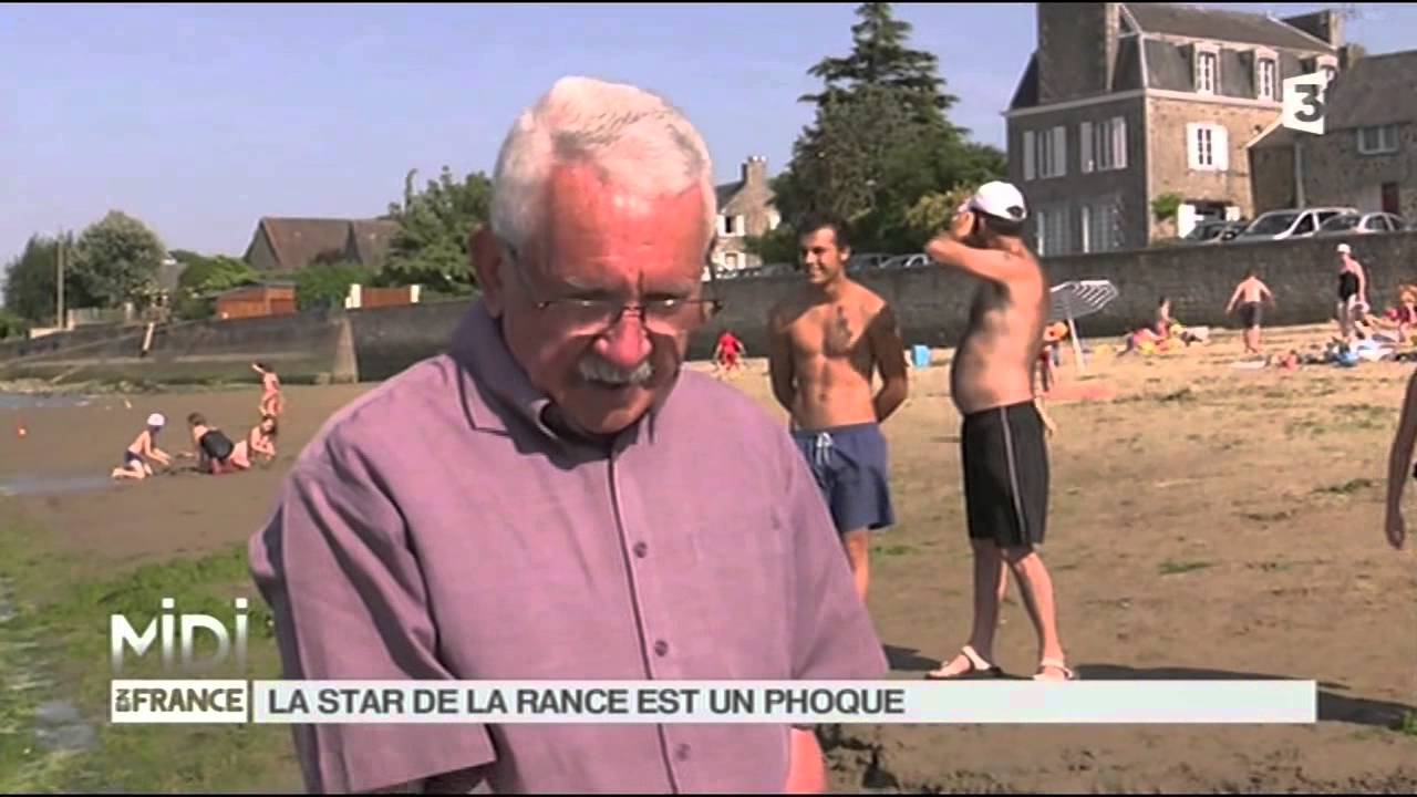 VU D'ICI : La star de la Rance est un phoque