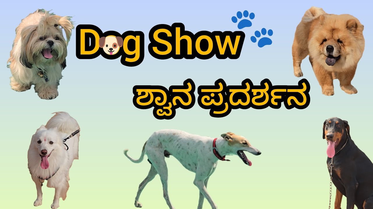 🐾 ನಾಯಿ ಪ್ರಿಯರು ತಪ್ಪದೇ ನೋಡಬೇಕಾದ ವಿಡಿಯೋ!🐶 | ರಾಯಚೂರಿನಲ್ಲಿ ಮೊದಲ ಬಾರಿಗೆ | ವಿದೇಶಿ & ಭಾರತೀಯ ನಾಯಿ ಜಾತಿಗಳು | 