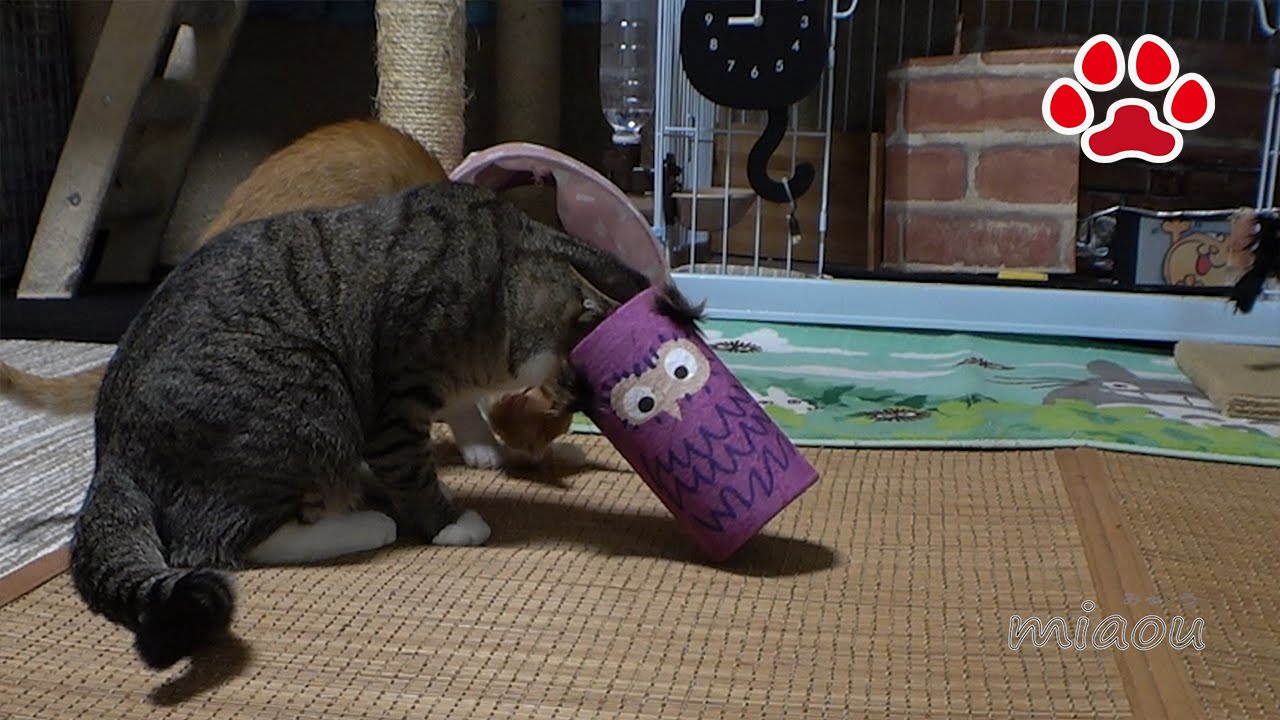 Нам нужна помощь. Голова не может быть вытянут. Maya-