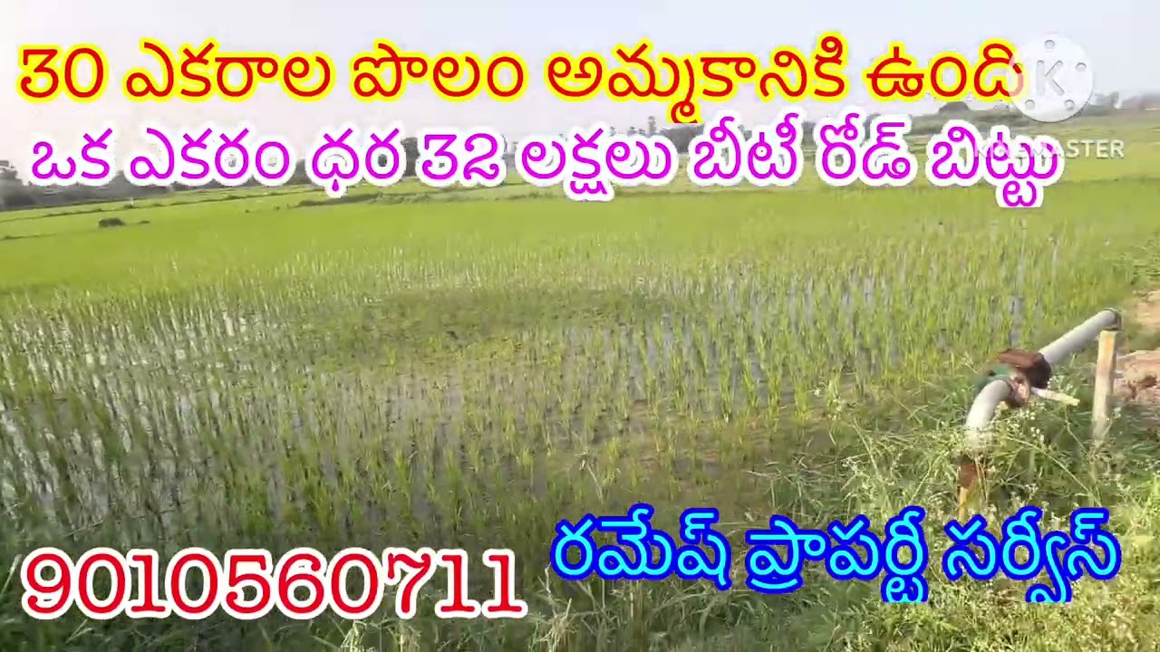 30 ఎకరాల పొలం అమ్మకానికి ఉంది ఒక ఎకరం ధర 32 లక్షలు రైతు దగ్గర ఉంది బీటీ రోడ్ బిట్టు 2 బోర్లు ఒక బాయ్