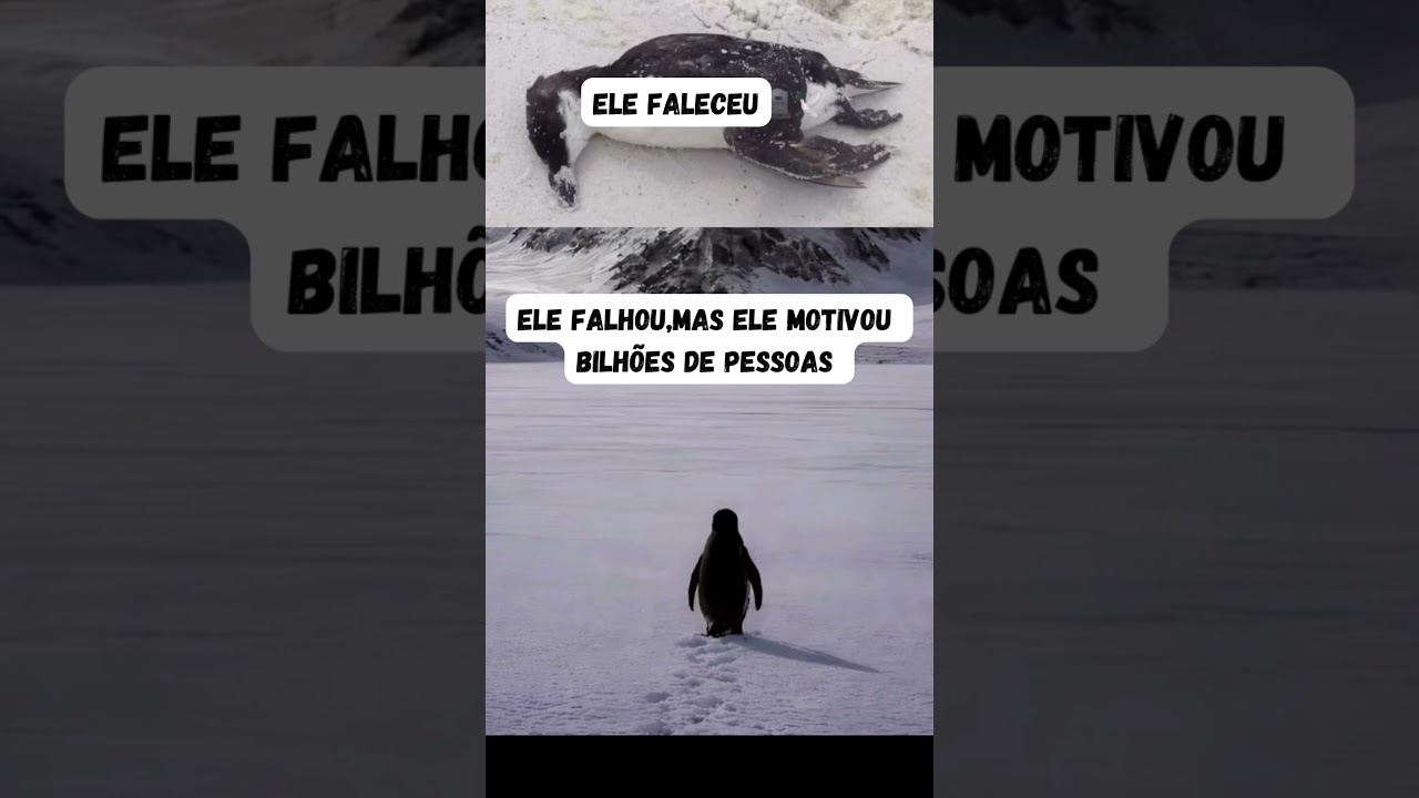 O Pinguim Niilista #reflex&atilde;o #filosofia #motiva&ccedil;&atilde;o