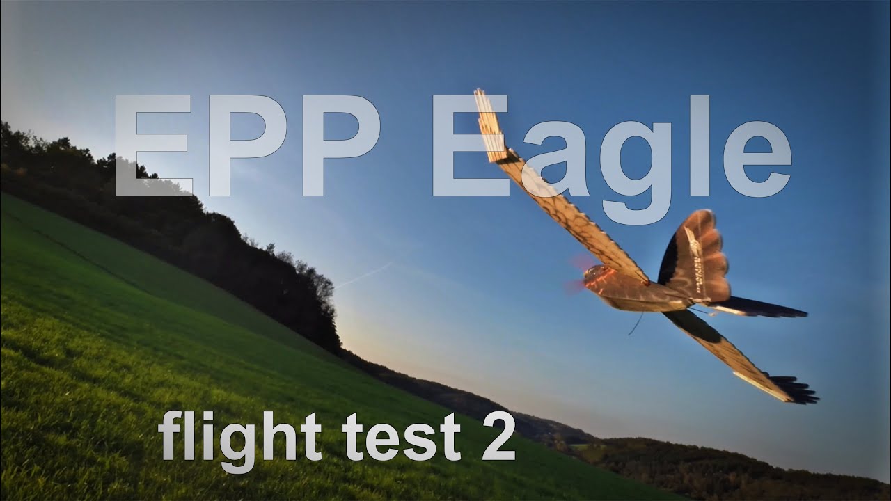 EPP Eagle Flight / RC Adler mit V -  Leitwerk  ; Highly emotional, Er fliegt!!!!