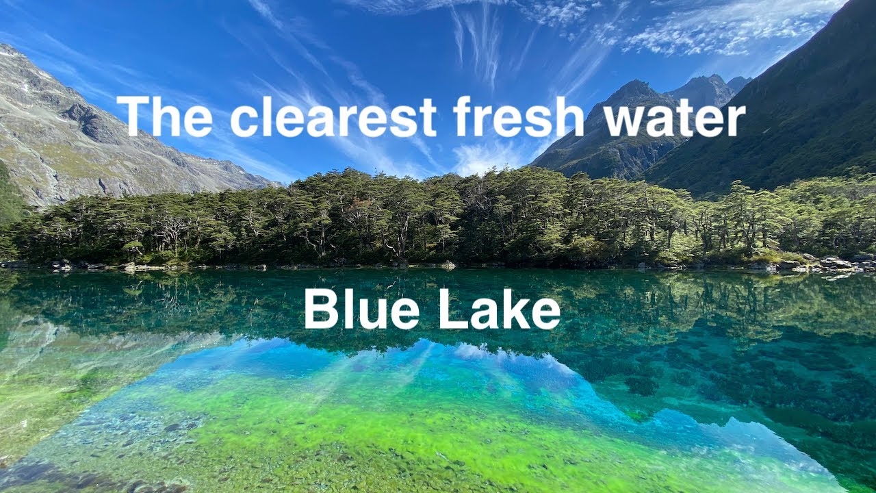 Blue Lake, the clearest fresh water in the world, Nelson Lakes National Park, New Zealand