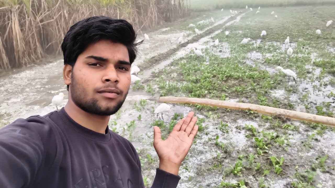Aaj Maine kheton mein tabahi macha Di 😂🤣📌
