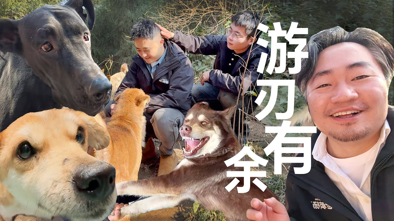内含15个小动物的后续