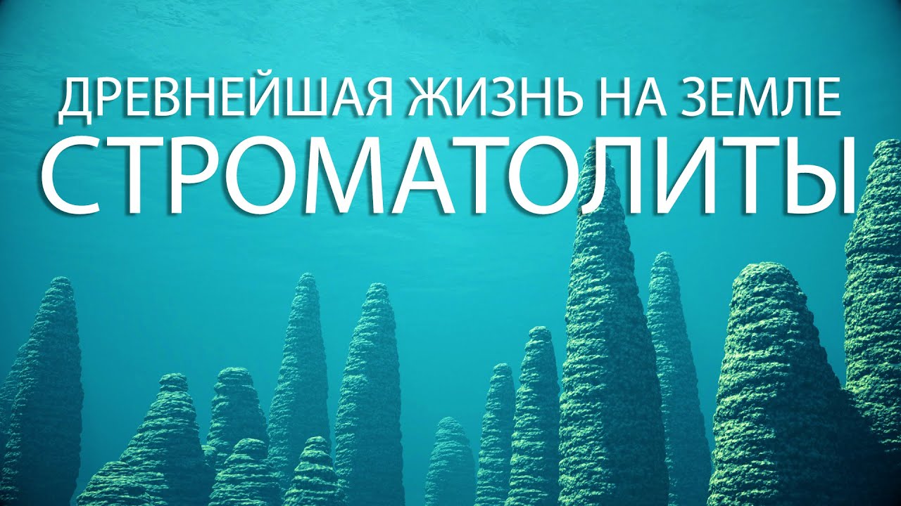 СТРОМАТОЛИТЫ: Древнейшая жизнь на Земле | Документальная 3D Анимация