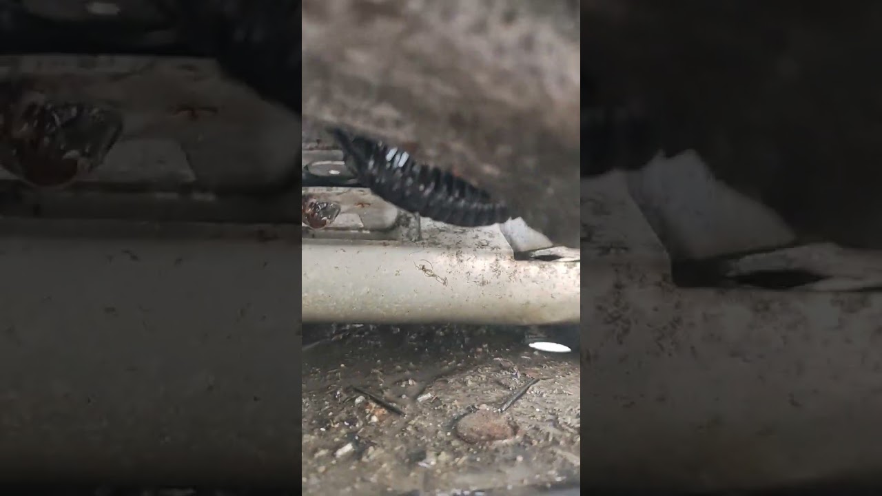 Tesla S 2013 12v battery problem - Check abs connection
