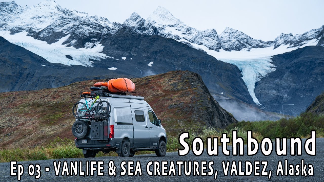 На юг — Эпизод 3 — Vanlife и огромные морские львы в Вальдесе, Аляска | Высадка на Панамериканско...