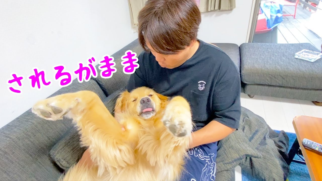 無抵抗すぎるまるくん！