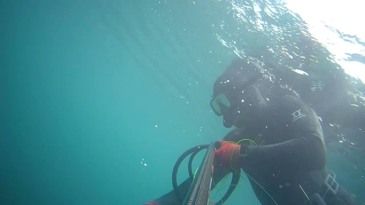Balıklıova Zıpkınla Balık Avı / Ocak 2026 - 1 / Spearfishing