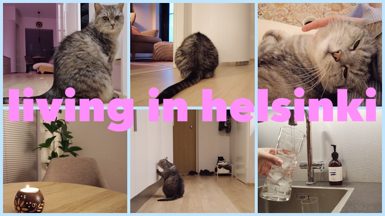 A week in my life | A cozy silent vlog