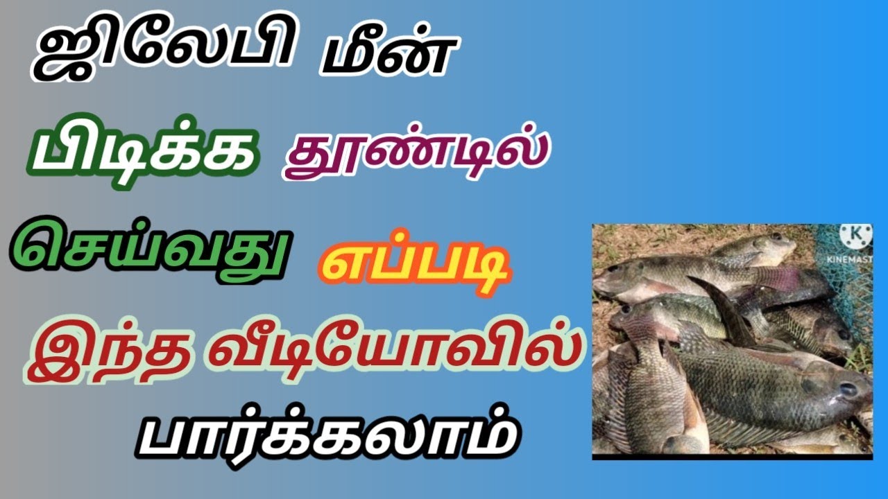 கை தூண்டில் செய்வது எப்படி தமிழில் வீடியோ 6 ஜூன், 2023