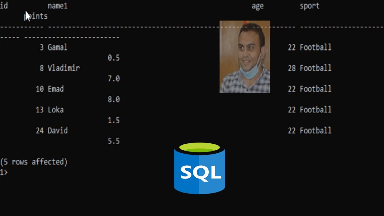 How to execute query using command prompt in SQL Server database