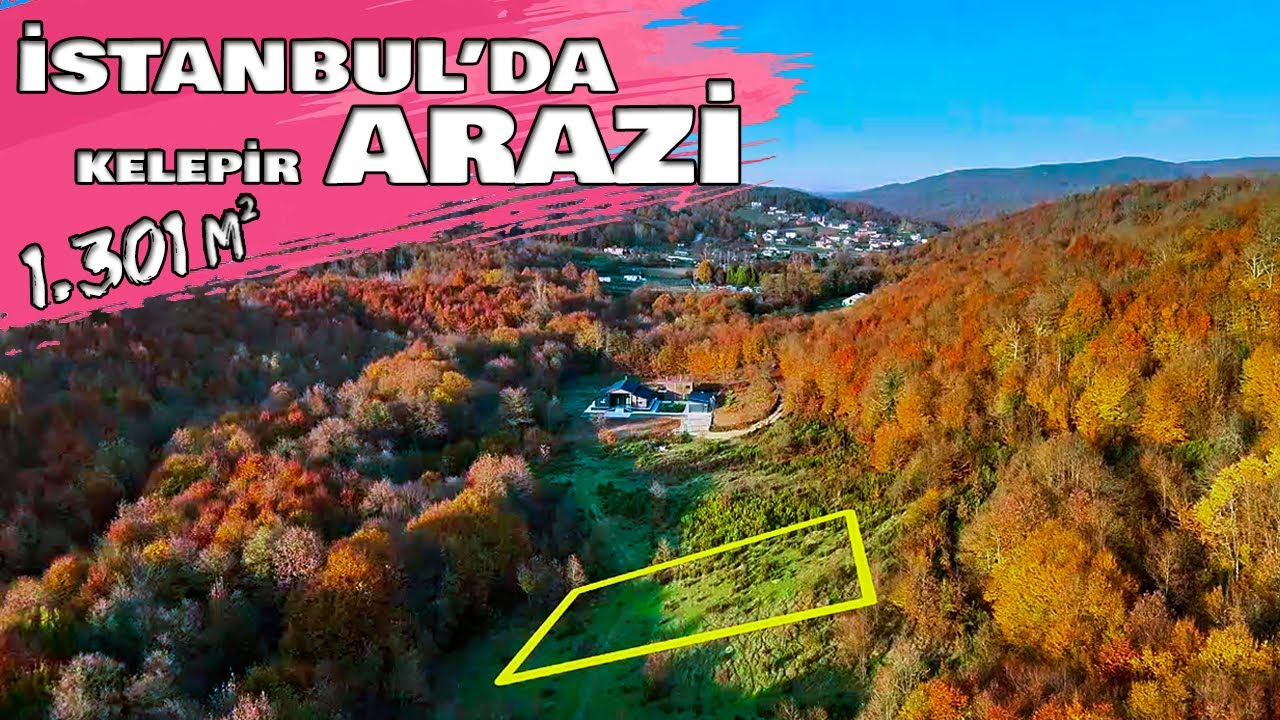 İstanbul Şile Ağaçdere Köyünde 1.301 m² Resmi Yolu Olan Satılık Arazi Yatırım Fırsatı (çek-099)