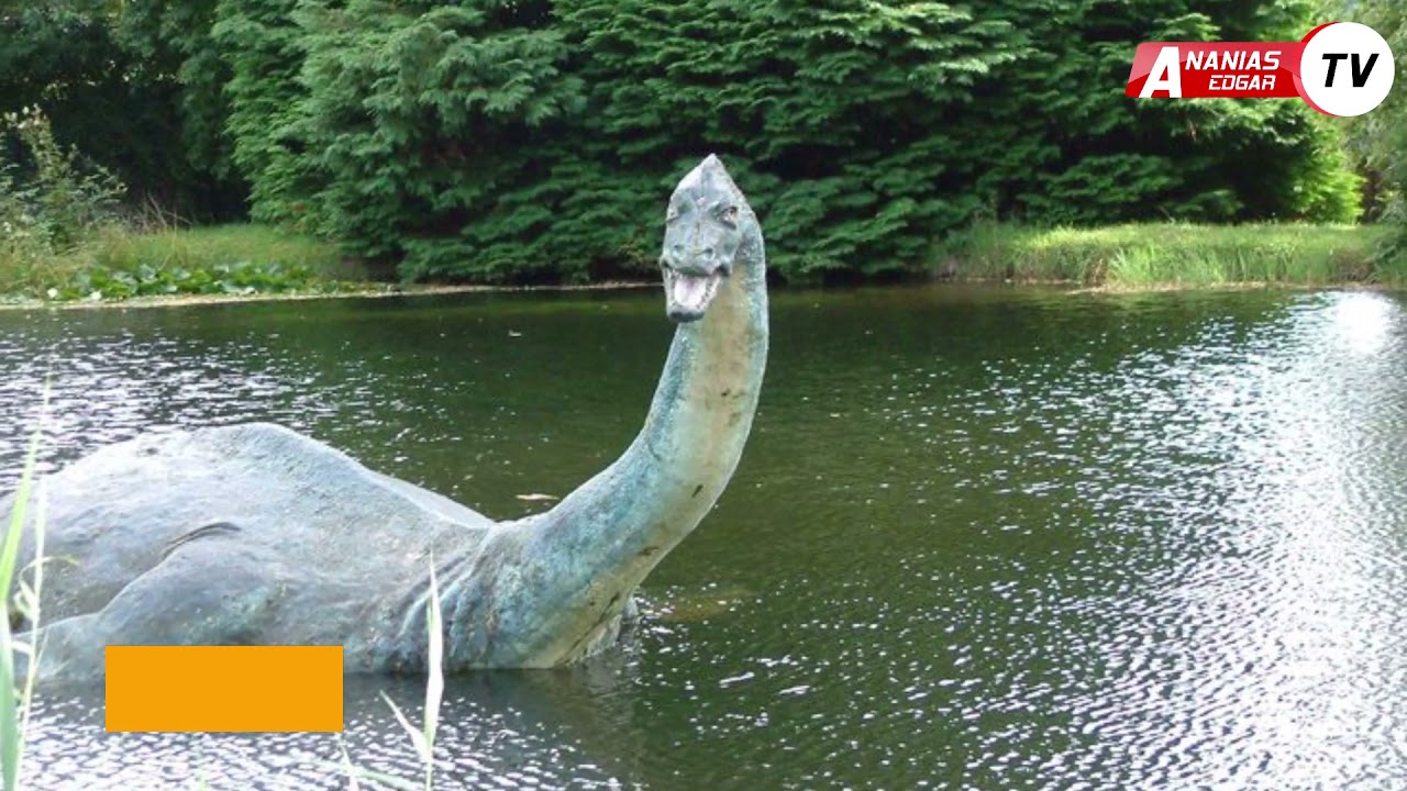 WAFAHAMU VIUMBE 10 WA AJABU WANAOISHI BAHARINI