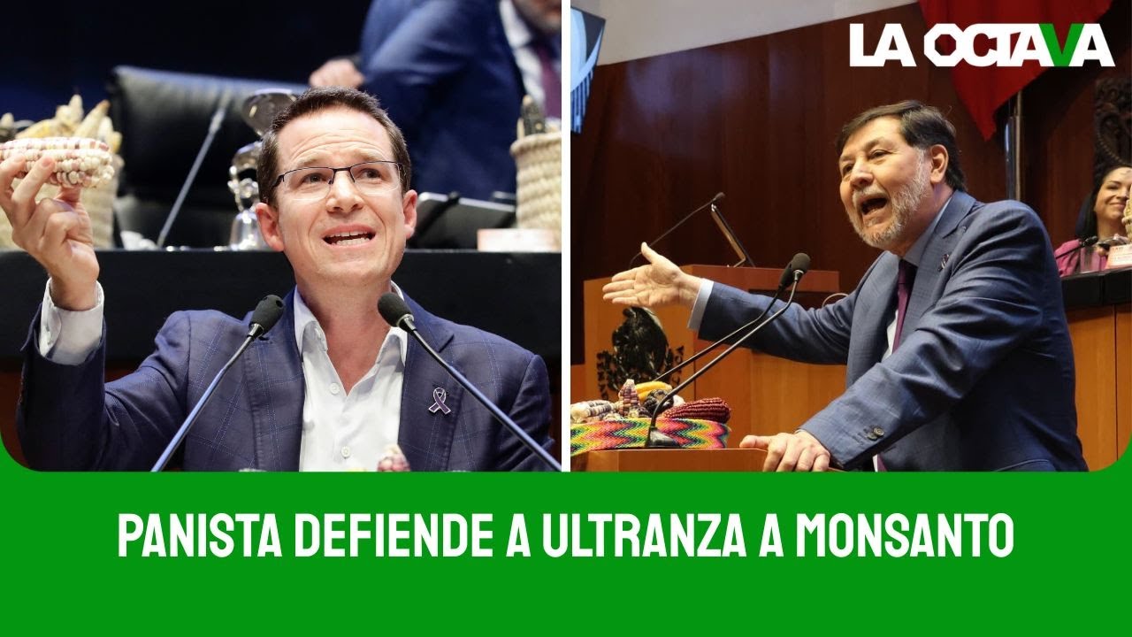 AGARRÓN entre NOROÑA y ANAYA por el MAÍZ TRANSGÉNICO