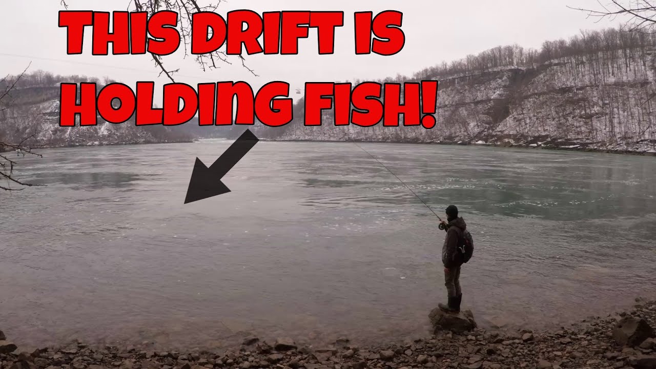Niagara River Float Fishing | Tips for Locating Steelhead Anywhere