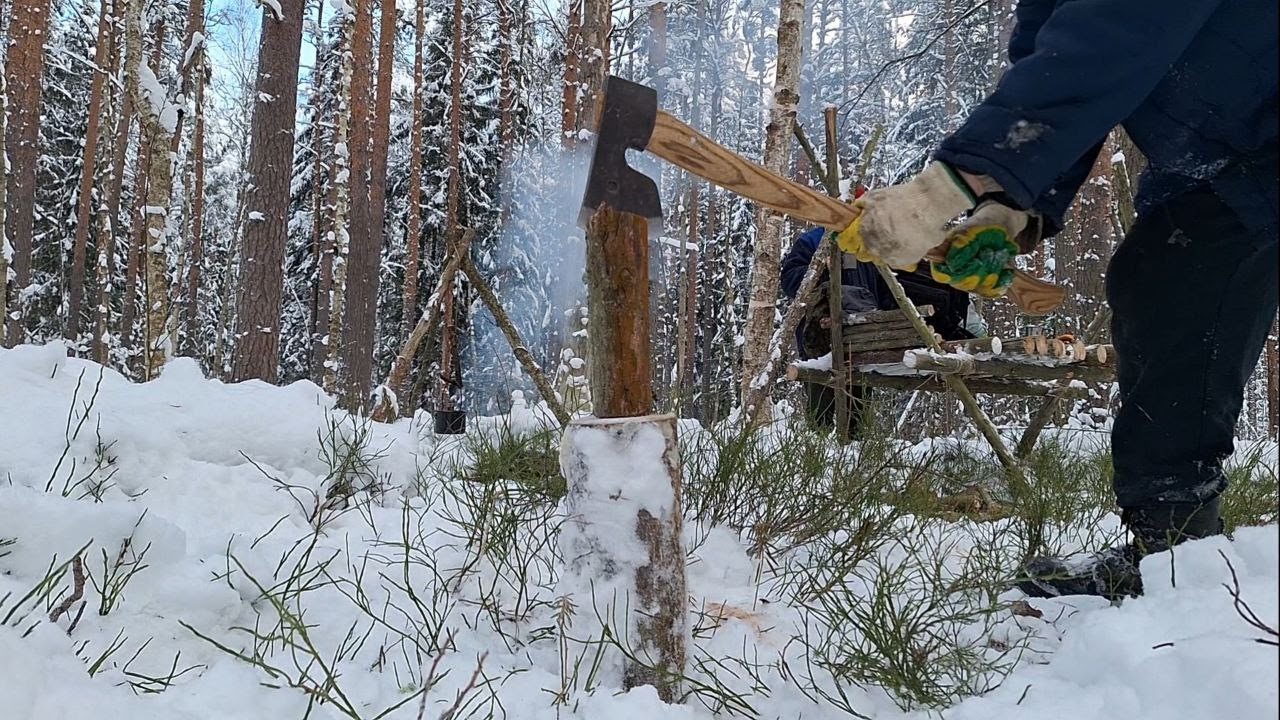 ВЕРНУЛИСЬ В ЛЕС ЧТОБ ОТДОХНУТЬ И УЛУЧШИТЬ СТОЯНКУ