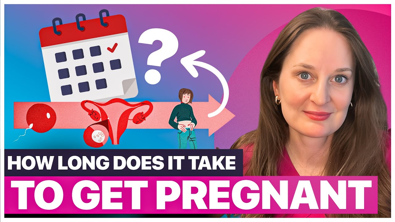 How Long Does It REALLY Take to Get Pregnant?