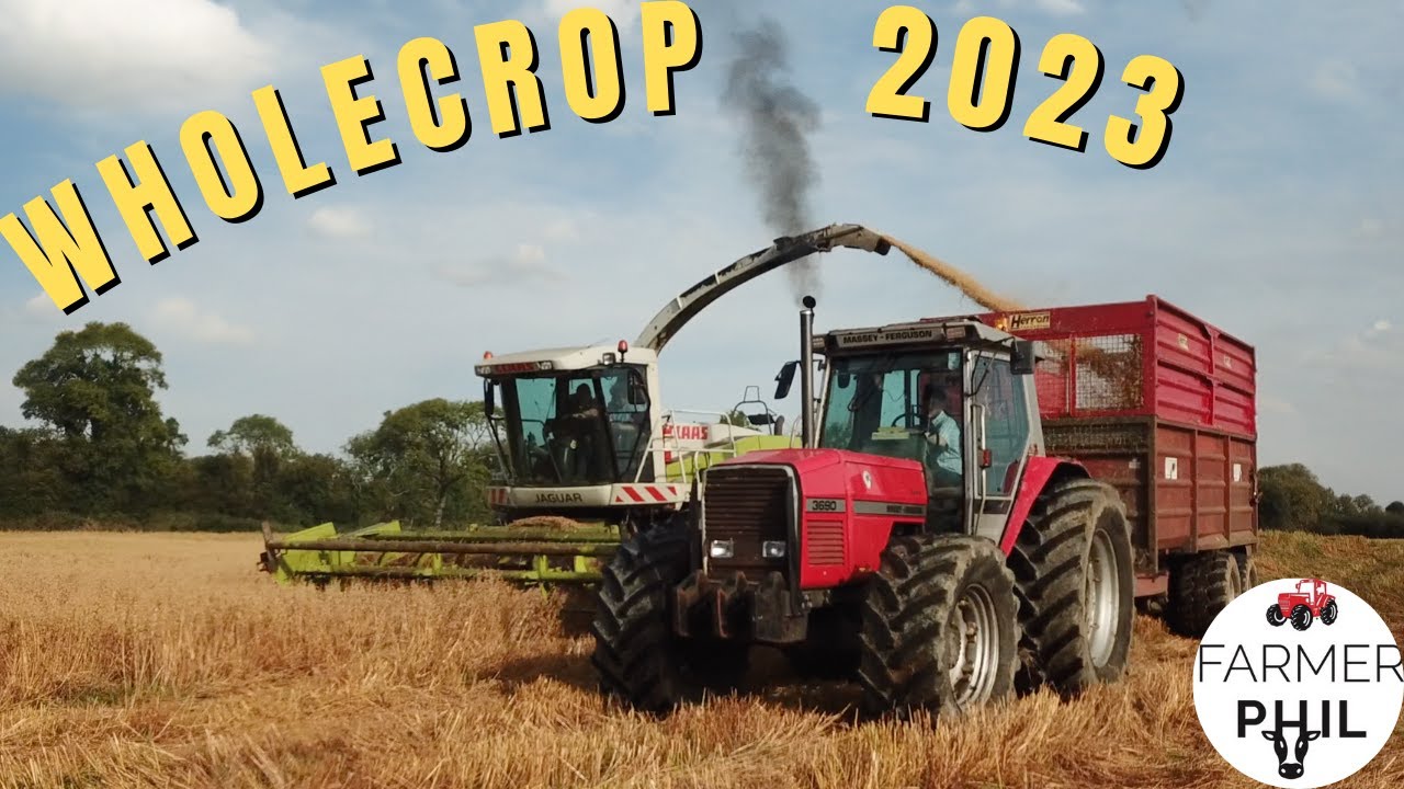 ОТЕЦ ФИЛ ЗАСТРЯЛ!! | УРОЖАЙ 2023