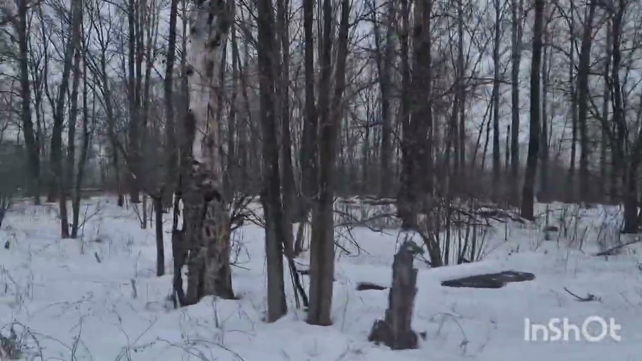 По Волге до Рождествено.