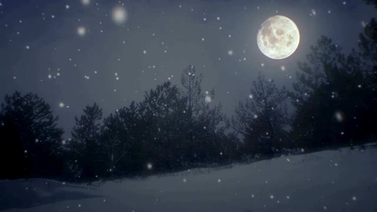 Snowy Moonlit Landscape - 1 Hour Peaceful Winter Scenery (No Audio) 4K