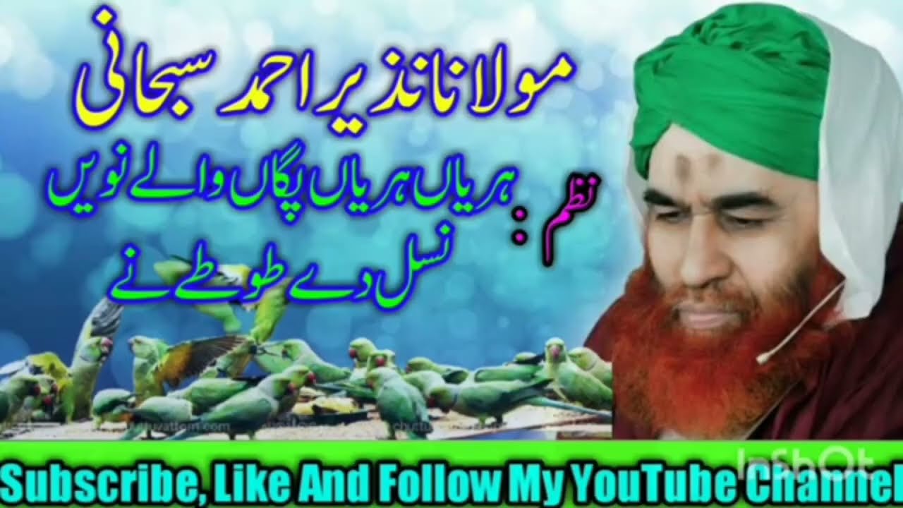 Molana nazeer ahmad subhani |  punjabi nazam | Haryan Haryan Pagaan waly
