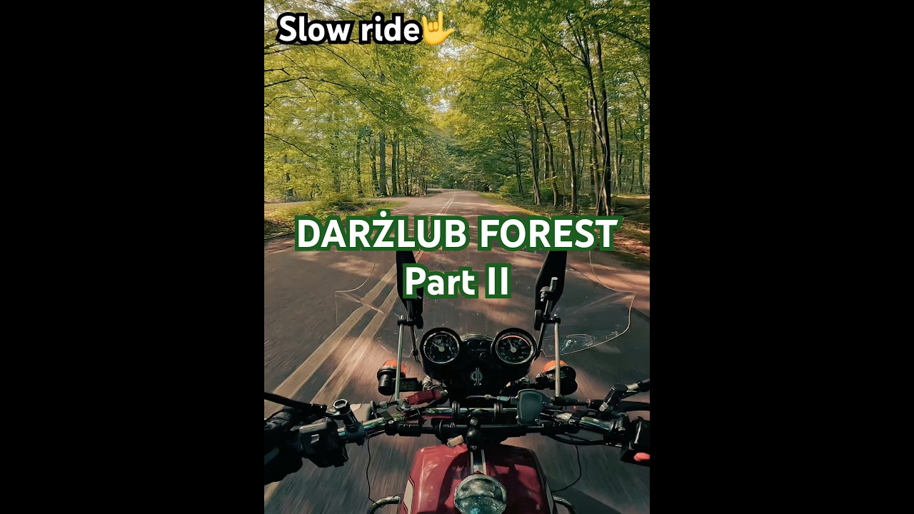 CZ 350 Deep Inside Darżlub Forest🌲 The Road Feels Different #slowrideworldwide #2stroke #classic350