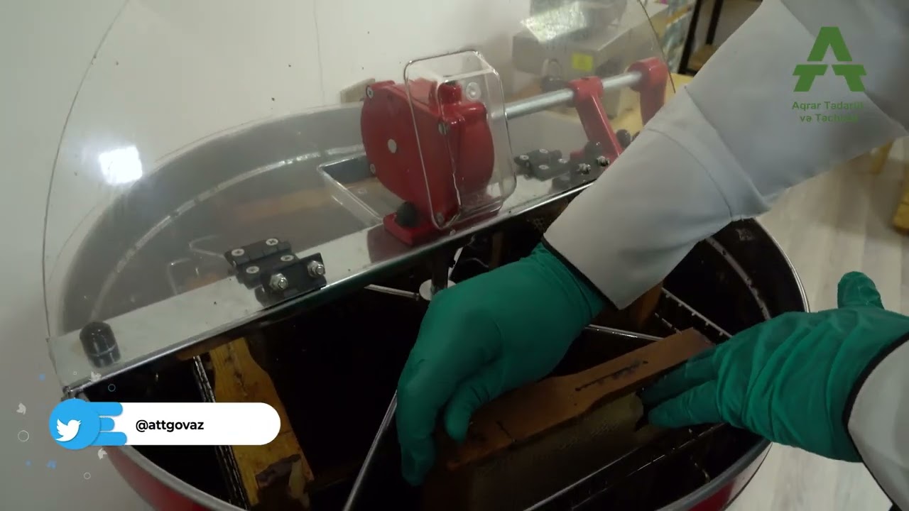 “Bölgələrdən şirin xəbər” rubrikamız başladı!