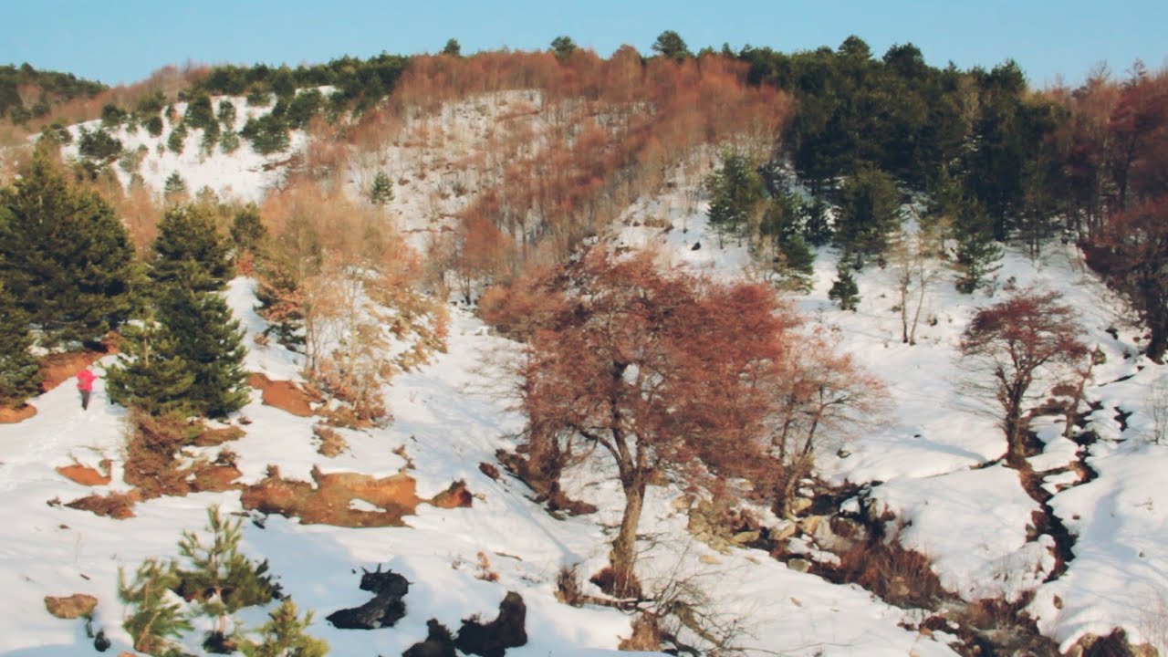 Kar Manzaraları Eşliğinde Bir Kamp❄Selimiye Köyü🌿Armutlu