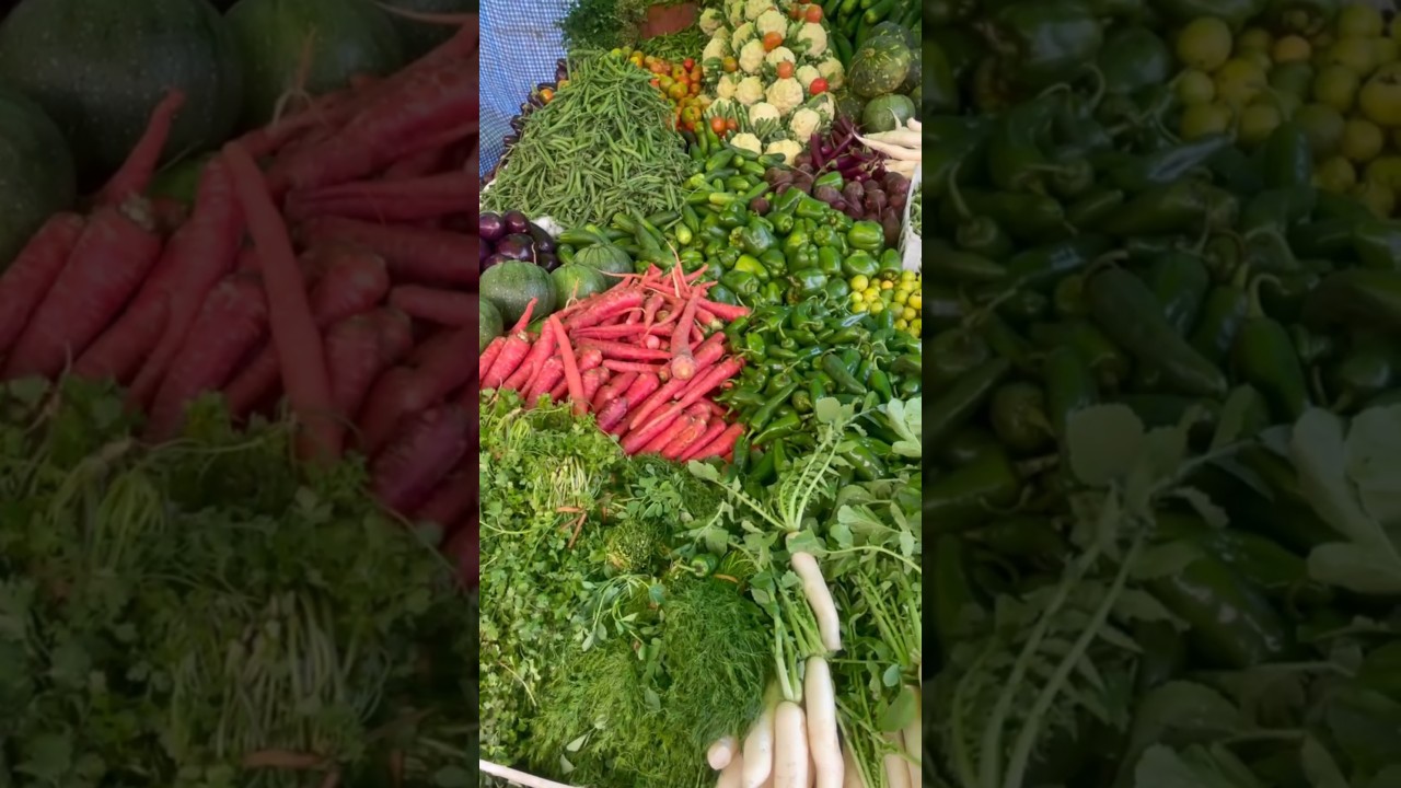 white sauce pasta 🍝🤤 