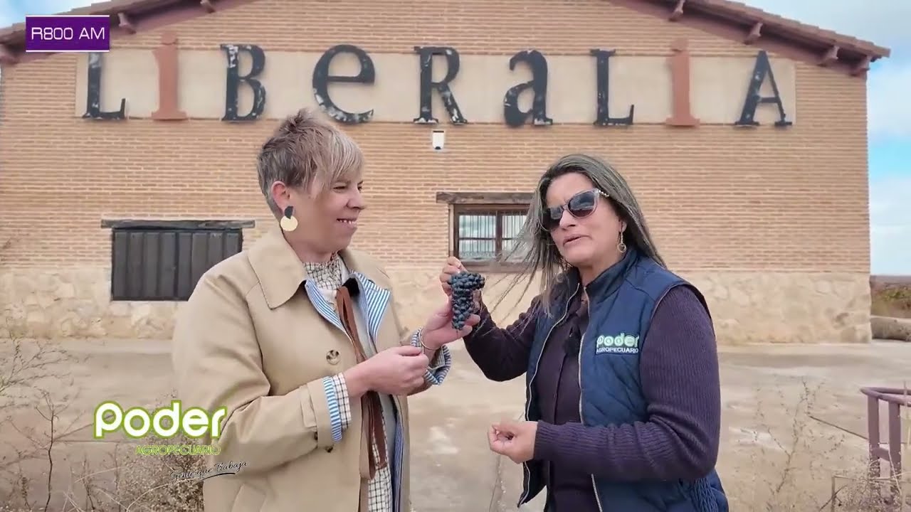 PODER AGROPECUARIO 11/12/2025 - VISITA A LA BODEGA DE VINO LIBERALIA EN TORO, ZAMORA ESPA&Ntilde;A