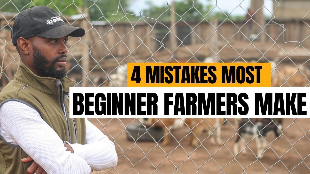 DON’T REPEAT THESE MISTAKES WHEN STARTING A LIVESTOCK FARM IN AFRICA 